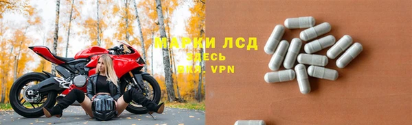 сатива Алзамай