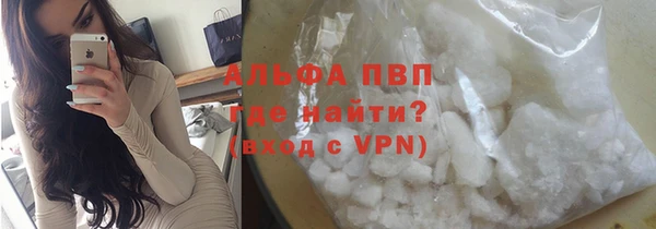 сатива Алзамай