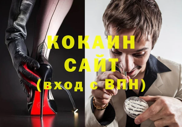 сатива Алзамай